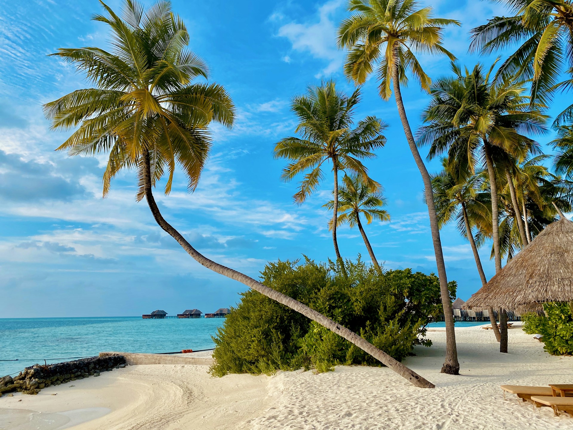Your African Dream Awaits