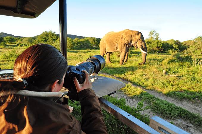 Discover Tanzania's Wild Beauty